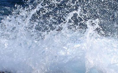 Wie ticken Sie in Bezug auf Ihren Arbeitsstil?