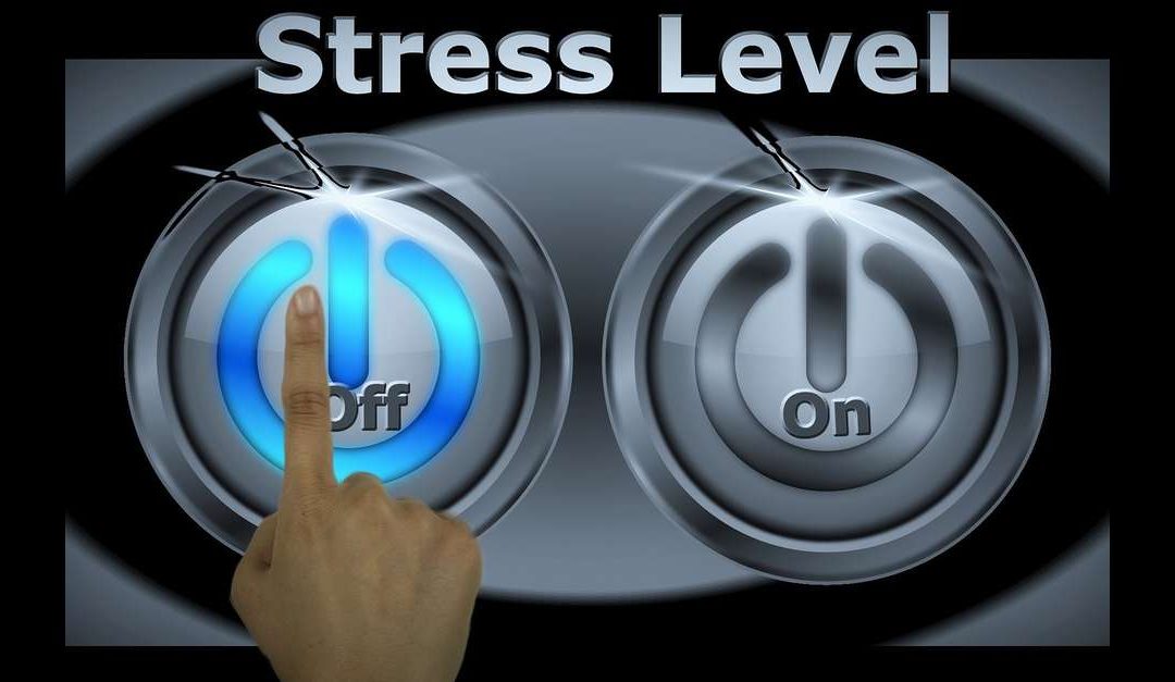 Eigene Stress-Verstärker für mehr Gelassenheit in den Griff bekommen – Stress abbauen Teil 2